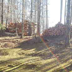201117_p33.jpg