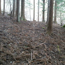 201219_p13.jpg