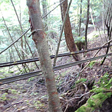 210916_p12.jpg