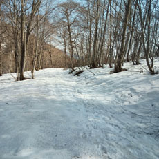220513_p19.jpg