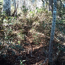 221112_p50.jpg