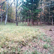 231030_p24.jpg