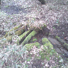 110615_p09.jpg