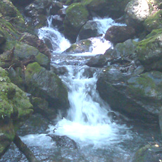 110815_p04.jpg