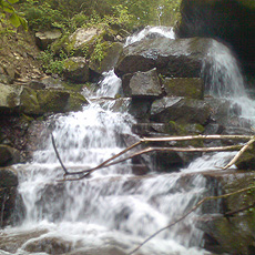 120630_p02.jpg