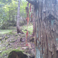 120916_p03.jpg