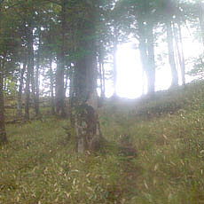 130623_p21.jpg