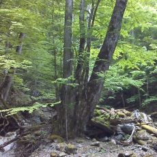 150605_p14.jpg