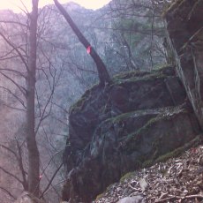 160109_p14.jpg