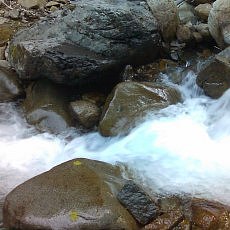 160603_p13.jpg