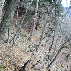 161123_p13.jpg