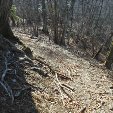170320_p04.jpg