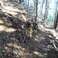 170320_p08.jpg