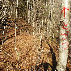 190505_p02.jpg