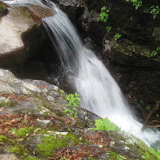 200621_p12.jpg
