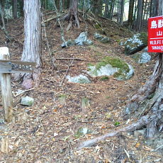 201117_p17.jpg