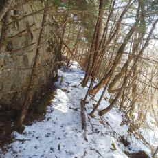 210315_p26.jpg