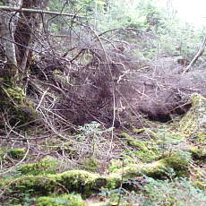 210930_p02.jpg