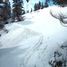 220513_p13.jpg