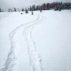 220513_p08.jpg