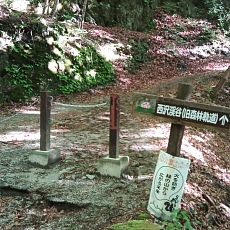 220528_p01.jpg