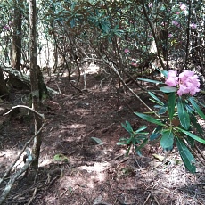 220528_p42.jpg