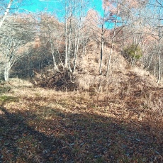 221112_p13.jpg