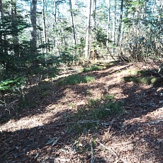221028_p15.jpg