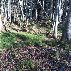 221028_p43.jpg