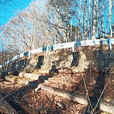 221127_p19.jpg