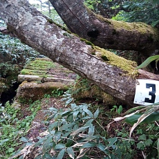 240612_p27.jpg