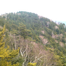 110430_p04.jpg