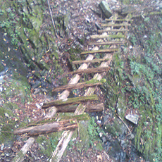 120916_p08.jpg
