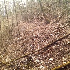130320_p01.jpg