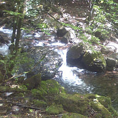 130623_p11.jpg