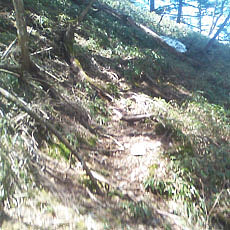 140427_p11.jpg