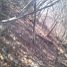 150330_p22.jpg