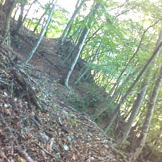 150920-02_p05.jpg