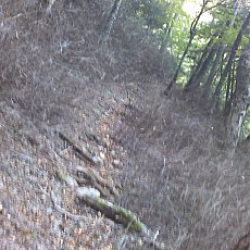 151010_p31.jpg