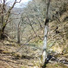 160505_p11.jpg