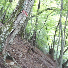 160925_p26.jpg