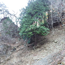 161215_p11.jpg