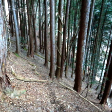 170203_p16.jpg