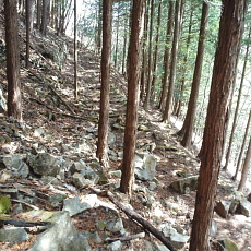 180412_p22.jpg