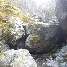 190302_p16.jpg