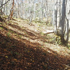 191104_p08.jpg