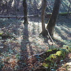 191104_p25.jpg