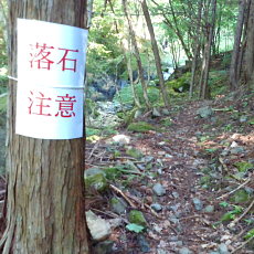 200605_p11.jpg