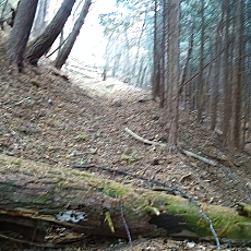 201117_p07.jpg