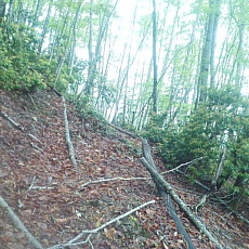210522_p22.jpg